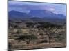 Acacia and Distant Massif North of Mt Kenya, Samburu National Reserve, Kenya-Paul Souders-Mounted Photographic Print