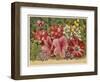 Acacia Dealbata-null-Framed Art Print