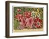 Acacia Dealbata-null-Framed Art Print