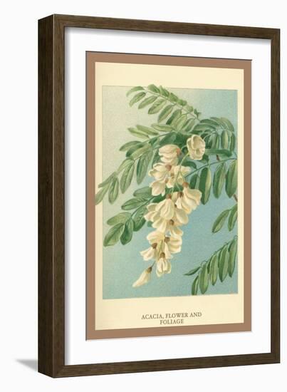 Acacia, Flower and Foliage-W.h.j. Boot-Framed Art Print