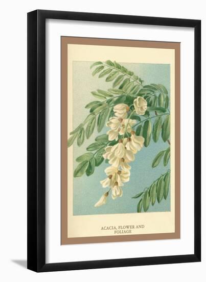 Acacia, Flower and Foliage-W.h.j. Boot-Framed Art Print