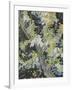 Acacia in Flowers-Vincent Van Gogh-Framed Giclee Print