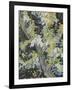 Acacia in Flowers-Vincent Van Gogh-Framed Giclee Print