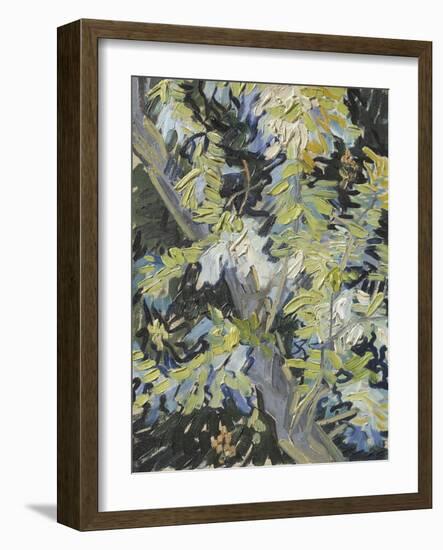 Acacia in Flowers-Vincent Van Gogh-Framed Giclee Print