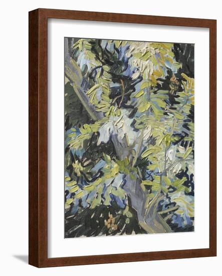 Acacia in Flowers-Vincent Van Gogh-Framed Giclee Print