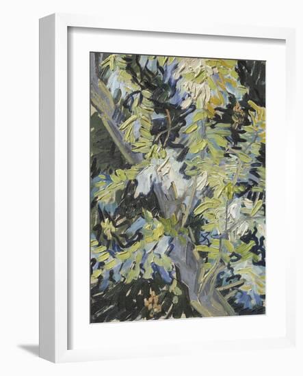 Acacia in Flowers-Vincent Van Gogh-Framed Giclee Print