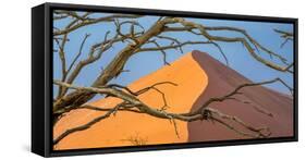 Acacia snag and dune, Namibia, Africa-Art Wolfe Wolfe-Framed Stretched Canvas