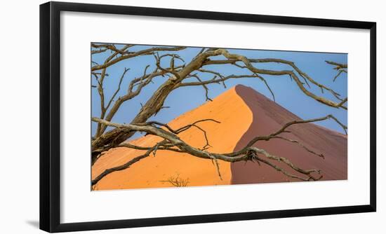 Acacia snag and dune, Namibia, Africa-Art Wolfe Wolfe-Framed Photographic Print