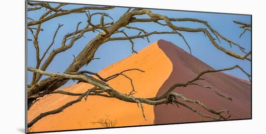 Acacia snag and dune, Namibia, Africa-Art Wolfe Wolfe-Mounted Photographic Print