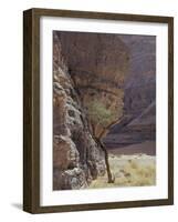 Acacia Spinosa Plant, Sahara-Michele Molinari-Framed Photographic Print