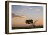 Acacia Tree and Clouds at Dawn-James Hager-Framed Photographic Print