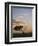 Acacia Tree and Clouds at Dawn-James Hager-Framed Photographic Print