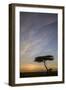 Acacia Tree and Clouds at Sunrise-James Hager-Framed Photographic Print