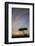 Acacia Tree and Clouds at Sunrise-James Hager-Framed Photographic Print