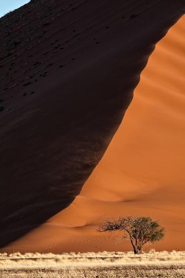 Photo, , large