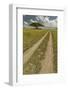 Acacia tree and tire tracks across grass plains, Serengeti National Park, Tanzania, Africa-Adam Jones-Framed Photographic Print