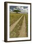 Acacia tree and tire tracks across grass plains, Serengeti National Park, Tanzania, Africa-Adam Jones-Framed Photographic Print