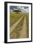 Acacia tree and tire tracks across grass plains, Serengeti National Park, Tanzania, Africa-Adam Jones-Framed Photographic Print