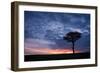 Acacia tree at sunset, Masai Mara, Kenya, East Africa, Africa-Karen Deakin-Framed Photographic Print