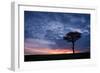 Acacia tree at sunset, Masai Mara, Kenya, East Africa, Africa-Karen Deakin-Framed Photographic Print