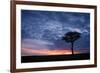 Acacia tree at sunset, Masai Mara, Kenya, East Africa, Africa-Karen Deakin-Framed Photographic Print