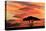 Acacia tree at sunset, Serengeti National Park, Tanzania, Africa-Adam Jones-Stretched Canvas