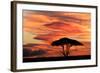 Acacia tree at sunset, Serengeti National Park, Tanzania, Africa-Adam Jones-Framed Photographic Print