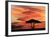 Acacia tree at sunset, Serengeti National Park, Tanzania, Africa-Adam Jones-Framed Photographic Print