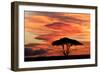 Acacia tree at sunset, Serengeti National Park, Tanzania, Africa-Adam Jones-Framed Photographic Print