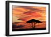 Acacia tree at sunset, Serengeti National Park, Tanzania, Africa-Adam Jones-Framed Photographic Print