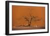 Acacia Tree in Front of Dune 45 in the Namib Desert at Sunset, Sossusvlei, Namib-Naukluft Park-Alex Treadway-Framed Photographic Print