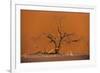 Acacia Tree in Front of Dune 45 in the Namib Desert at Sunset, Sossusvlei, Namib-Naukluft Park-Alex Treadway-Framed Photographic Print