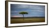 Acacia tree, Masai Mara, Kenya, East Africa, Africa-Karen Deakin-Framed Photographic Print