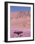 Acacia Tree near a Sand Dune-Michele Westmorland-Framed Photographic Print