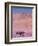 Acacia Tree near a Sand Dune-Michele Westmorland-Framed Photographic Print