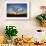 Acacia Tree Near Dune 45 in the Namib Desert at Sunset, Sossusvlei, Namin-Naukluft Park-Alex Treadway-Framed Photographic Print displayed on a wall