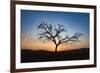 Acacia Tree Near Dune 45 in the Namib Desert at Sunset, Sossusvlei, Namin-Naukluft Park-Alex Treadway-Framed Photographic Print