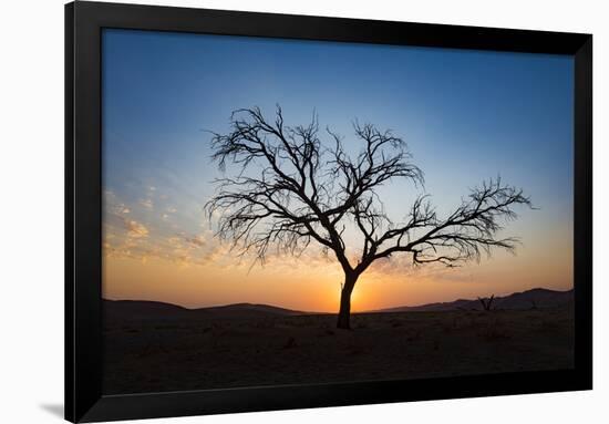 Acacia Tree Near Dune 45 in the Namib Desert at Sunset, Sossusvlei, Namin-Naukluft Park-Alex Treadway-Framed Photographic Print