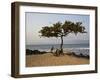 Acacia Tree on the Edge of the City of Sao Tomé, Where Young People Go to Bathe-Camilla Watson-Framed Photographic Print