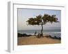 Acacia Tree on the Edge of the City of Sao Tomé, Where Young People Go to Bathe-Camilla Watson-Framed Photographic Print