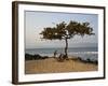 Acacia Tree on the Edge of the City of Sao Tomé, Where Young People Go to Bathe-Camilla Watson-Framed Photographic Print