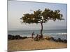 Acacia Tree on the Edge of the City of Sao Tomé, Where Young People Go to Bathe-Camilla Watson-Mounted Photographic Print