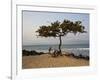 Acacia Tree on the Edge of the City of Sao Tomé, Where Young People Go to Bathe-Camilla Watson-Framed Photographic Print