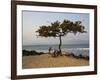 Acacia Tree on the Edge of the City of Sao Tomé, Where Young People Go to Bathe-Camilla Watson-Framed Photographic Print