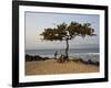 Acacia Tree on the Edge of the City of Sao Tomé, Where Young People Go to Bathe-Camilla Watson-Framed Photographic Print