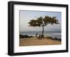 Acacia Tree on the Edge of the City of Sao Tomé, Where Young People Go to Bathe-Camilla Watson-Framed Photographic Print