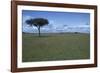 Acacia Tree on the Savanna-DLILLC-Framed Photographic Print