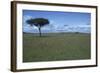 Acacia Tree on the Savanna-DLILLC-Framed Photographic Print
