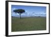 Acacia Tree on the Savanna-DLILLC-Framed Photographic Print