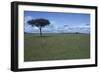 Acacia Tree on the Savanna-DLILLC-Framed Photographic Print